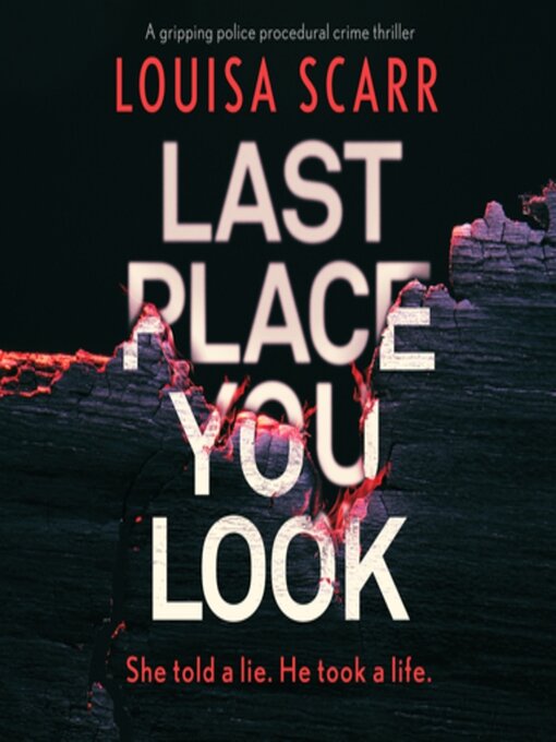 Cover image for Last Place You Look